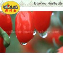 Comida sana orgánica del níspero chino Wolfberry - 220PCS / 50g